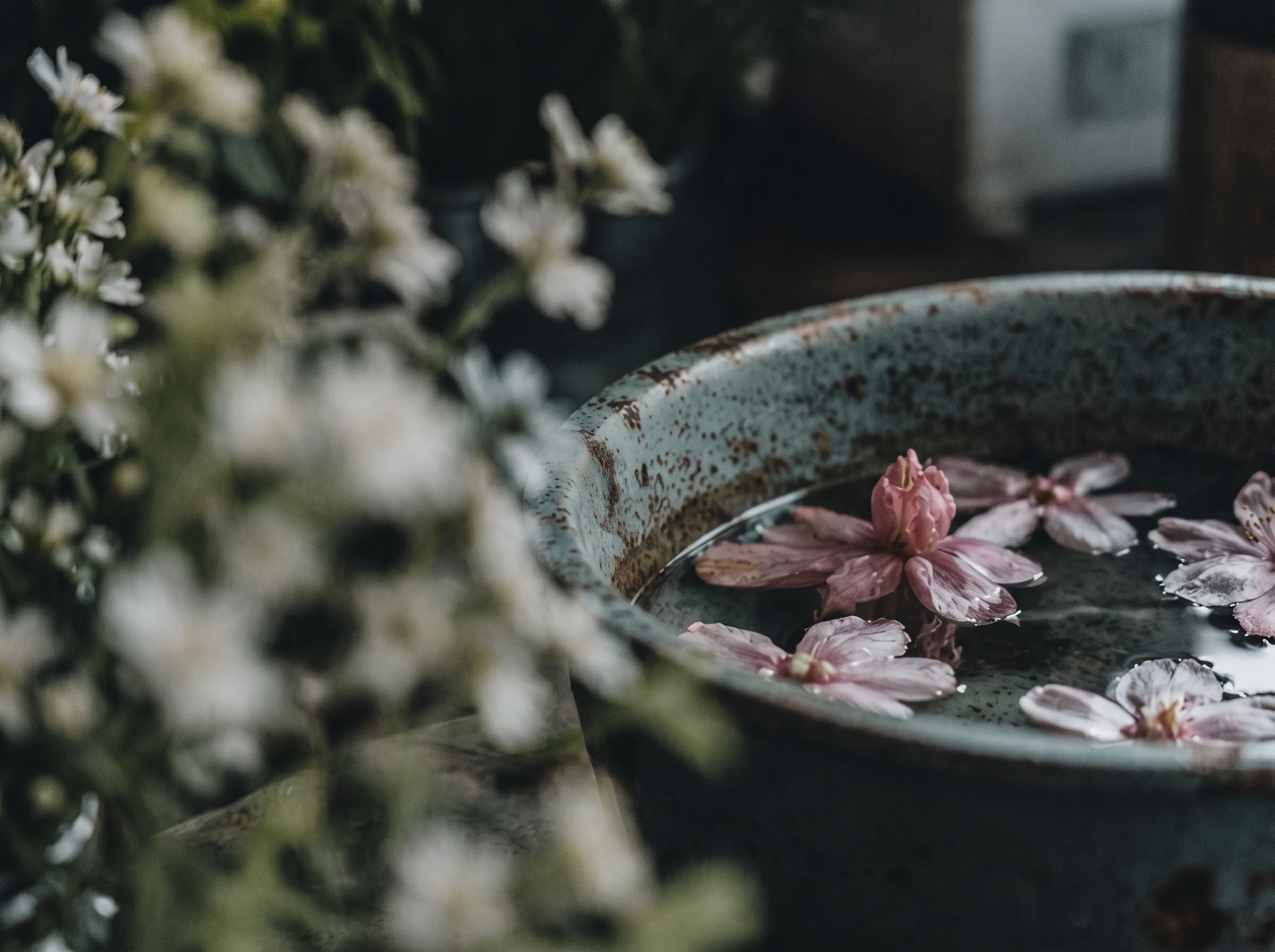 Pink petals floating in a weathered ceramic bowl among loose flower stems